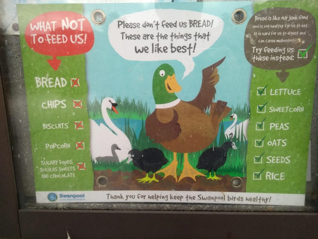 Swanpool Falmouth Feeding the ducks sign